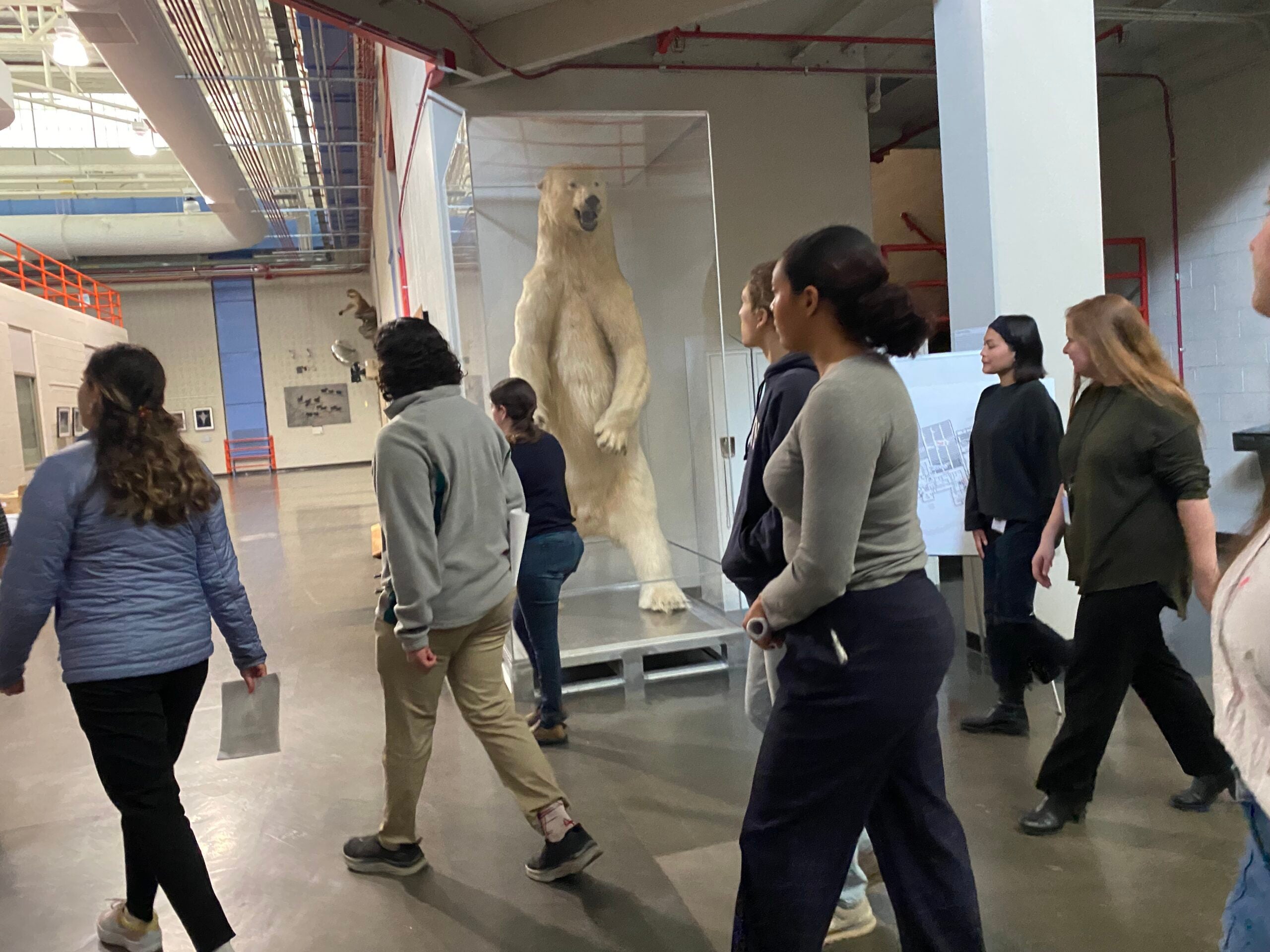 A group of people walking through a warehouse. A taxidermied polar bear in a case stands in the background. 